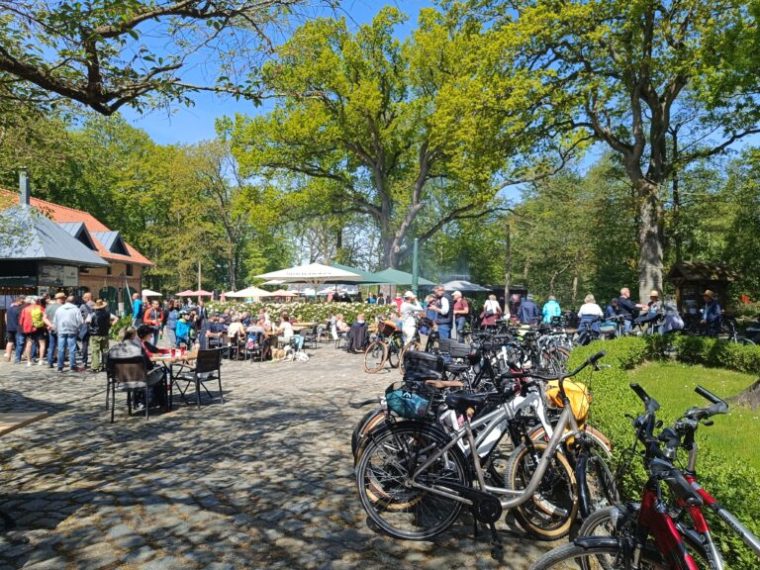 IMG_20240509_125640-768x576